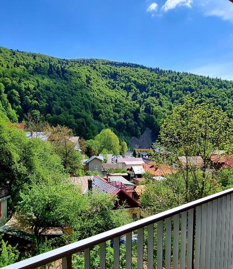 Sara Apart Belleview Sinaia Eksteriør billede