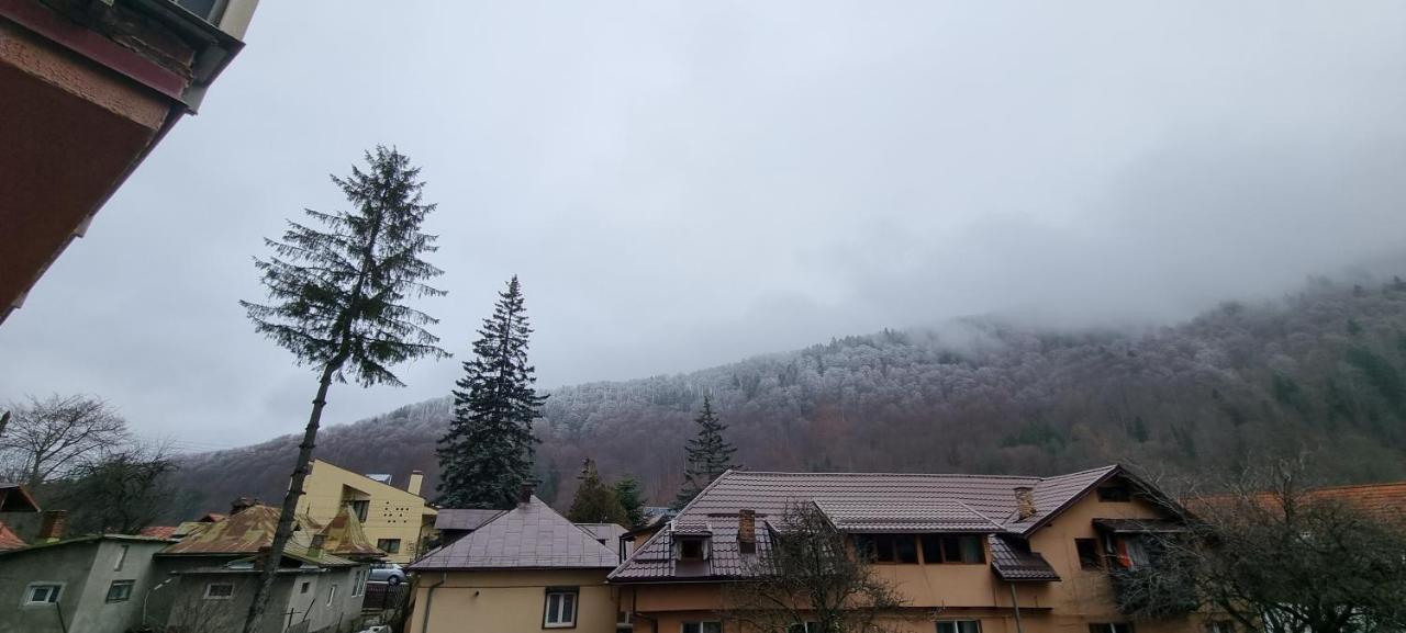 Sara Apart Belleview Sinaia Eksteriør billede
